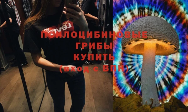 герыч Алзамай