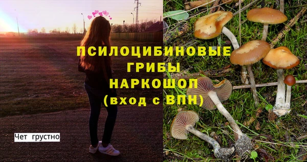 мет Алексеевка