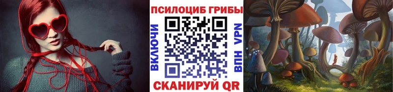 Галлюциногенные грибы GOLDEN TEACHER  kraken маркетплейс  Дубовка 